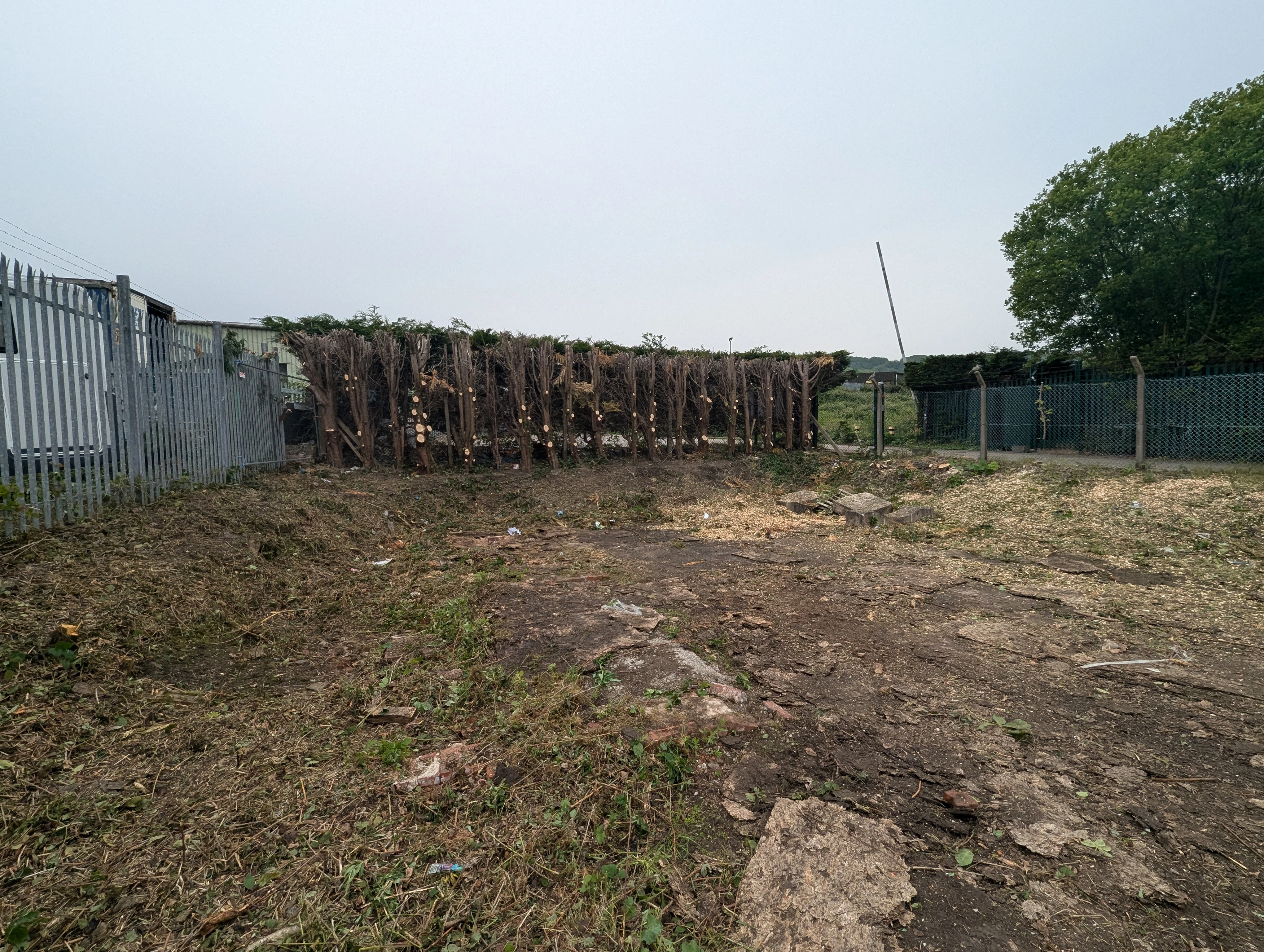 Cleared site after services