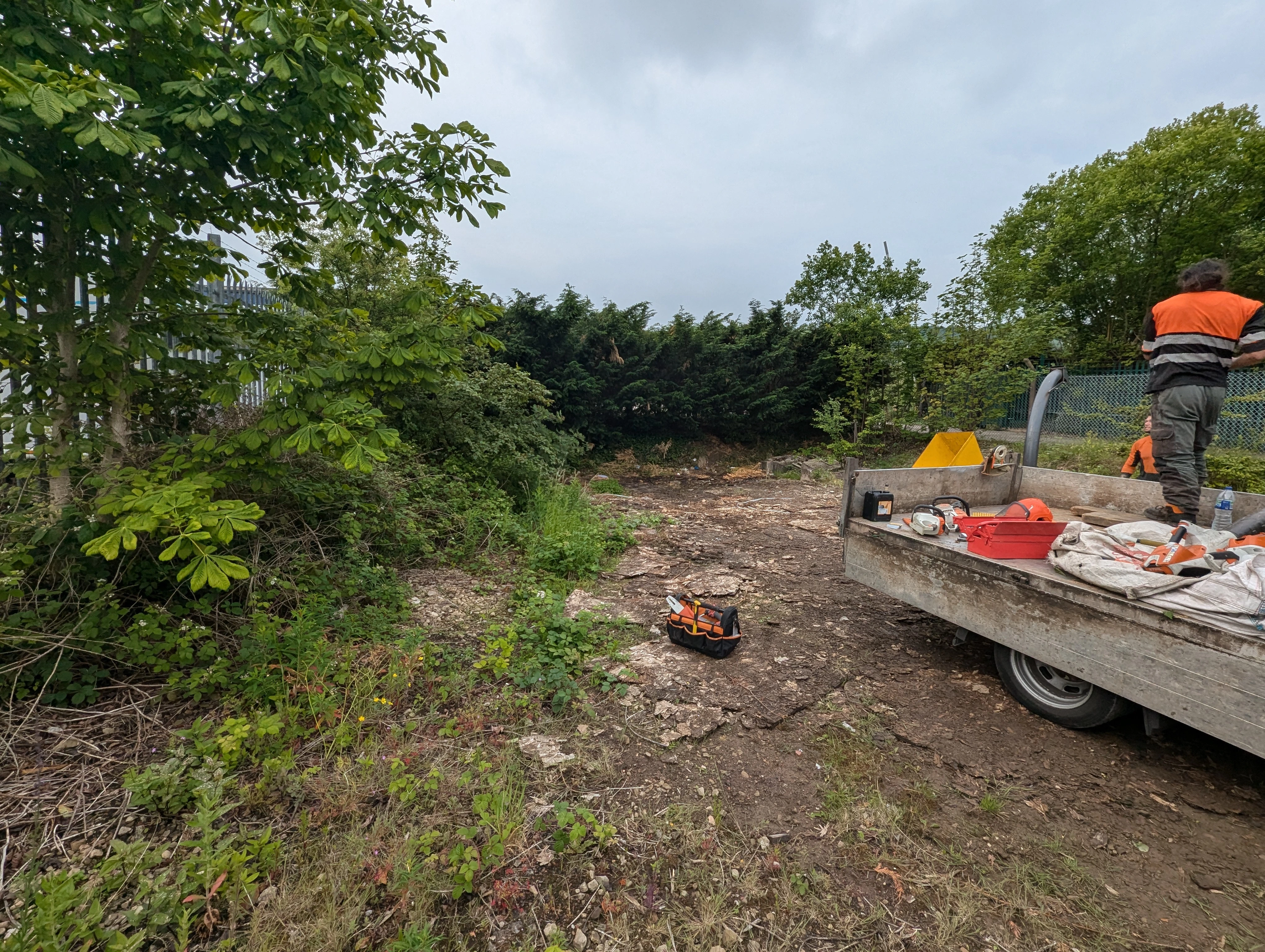 Overgrown site before clearance