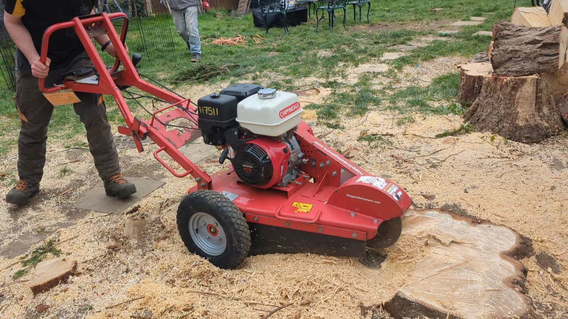 Stump Grinding